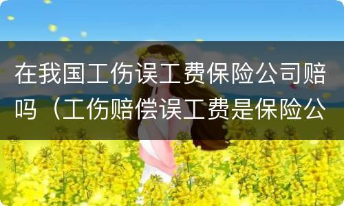 在我国工伤误工费保险公司赔吗（工伤赔偿误工费是保险公司出吗?）