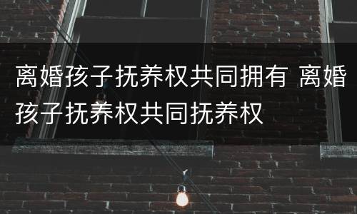 离婚孩子抚养权共同拥有 离婚孩子抚养权共同抚养权