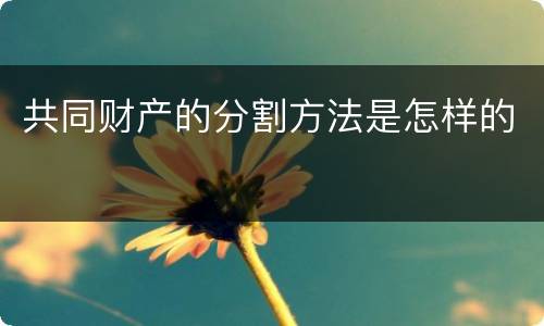 共同财产的分割方法是怎样的