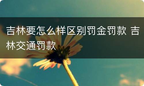 吉林要怎么样区别罚金罚款 吉林交通罚款