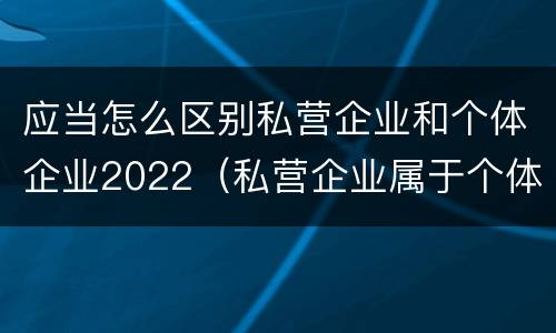 应当怎么区别私营企业和个体企业2022（私营企业属于个体经营吗）