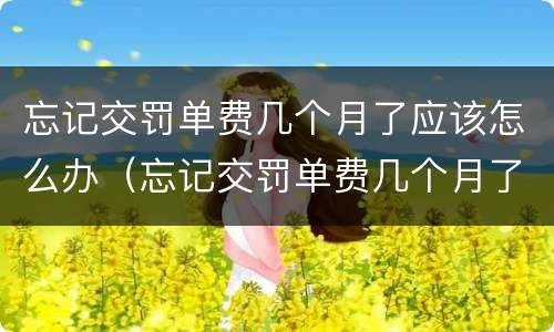 忘记交罚单费几个月了应该怎么办（忘记交罚单费几个月了应该怎么办理）