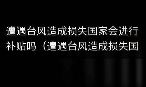遭遇台风造成损失国家会进行补贴吗（遭遇台风造成损失国家会进行补贴吗为什么）