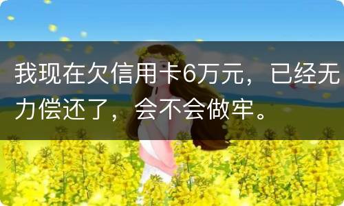 我现在欠信用卡6万元，已经无力偿还了，会不会做牢。