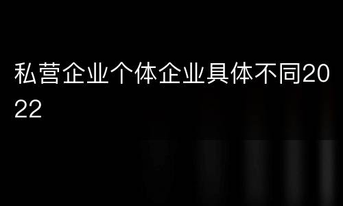 私营企业个体企业具体不同2022