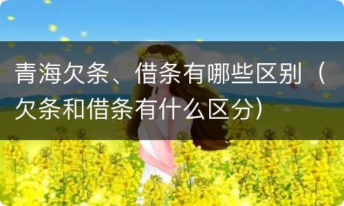 青海欠条、借条有哪些区别（欠条和借条有什么区分）