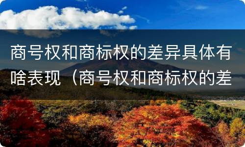商号权和商标权的差异具体有啥表现（商号权和商标权的差异具体有啥表现呢）