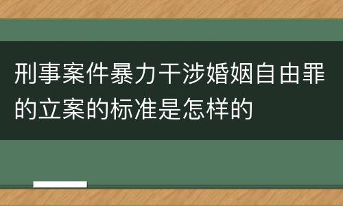 刑事案件暴力干涉婚姻自由罪的立案的标准是怎样的