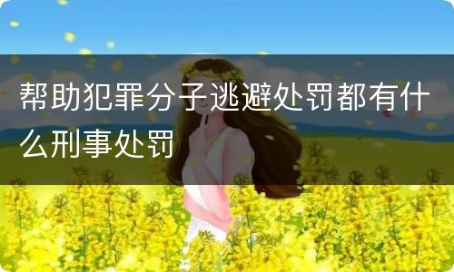 帮助犯罪分子逃避处罚都有什么刑事处罚