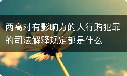 两高对有影响力的人行贿犯罪的司法解释规定都是什么