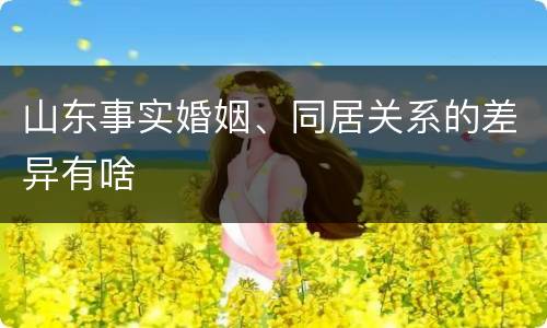 山东事实婚姻、同居关系的差异有啥