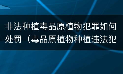 非法种植毒品原植物犯罪如何处罚（毒品原植物种植违法犯罪行为）