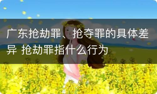 广东抢劫罪、抢夺罪的具体差异 抢劫罪指什么行为