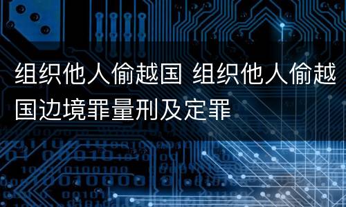 组织他人偷越国 组织他人偷越国边境罪量刑及定罪