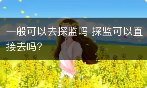 一般可以去探监吗 探监可以直接去吗?