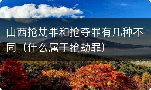 山西抢劫罪和抢夺罪有几种不同（什么属于抢劫罪）