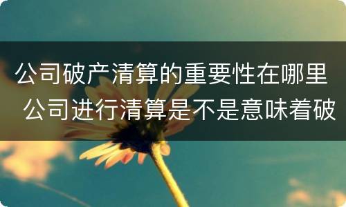 公司破产清算的重要性在哪里 公司进行清算是不是意味着破产了
