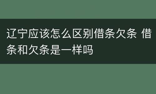 辽宁应该怎么区别借条欠条 借条和欠条是一样吗