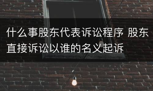什么事股东代表诉讼程序 股东直接诉讼以谁的名义起诉