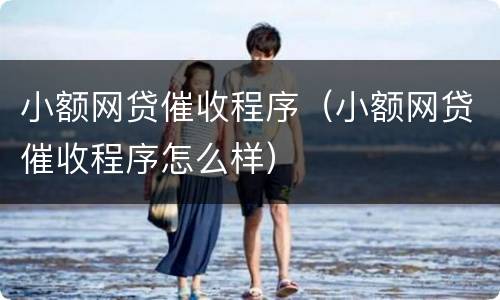 小额网贷催收程序（小额网贷催收程序怎么样）