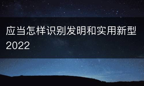 应当怎样识别发明和实用新型2022