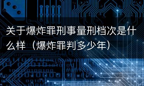 关于爆炸罪刑事量刑档次是什么样（爆炸罪判多少年）