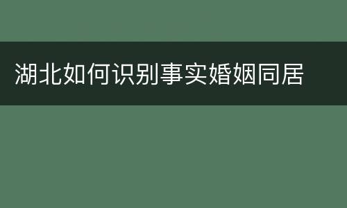 湖北如何识别事实婚姻同居