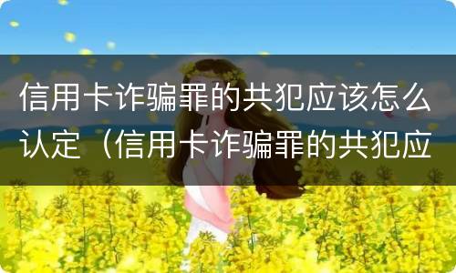 信用卡诈骗罪的共犯应该怎么认定（信用卡诈骗罪的共犯应该怎么认定呢）