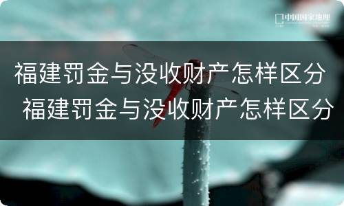 福建罚金与没收财产怎样区分 福建罚金与没收财产怎样区分啊