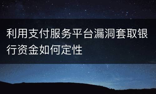 利用支付服务平台漏洞套取银行资金如何定性