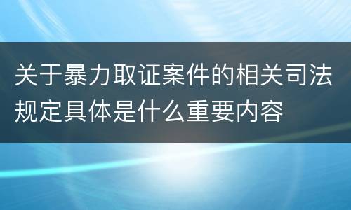 关于暴力取证案件的相关司法规定具体是什么重要内容