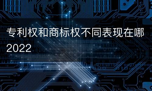 专利权和商标权不同表现在哪2022