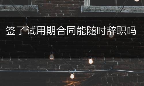 签了试用期合同能随时辞职吗