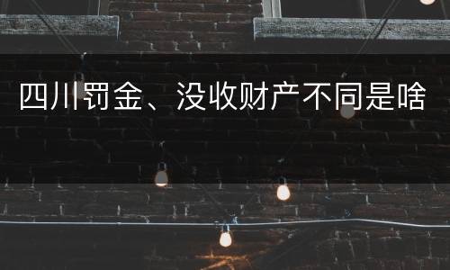 四川罚金、没收财产不同是啥