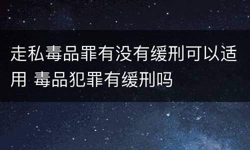 走私毒品罪有没有缓刑可以适用 毒品犯罪有缓刑吗