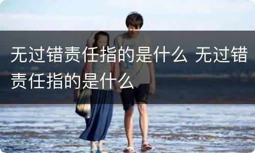 无过错责任指的是什么 无过错责任指的是什么