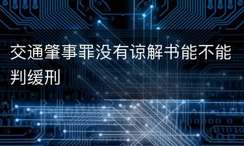 交通肇事罪没有谅解书能不能判缓刑