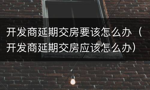 开发商延期交房要该怎么办（开发商延期交房应该怎么办）