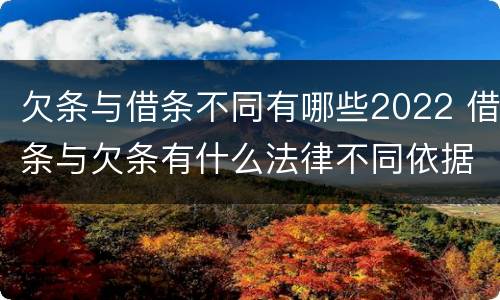 欠条与借条不同有哪些2022 借条与欠条有什么法律不同依据