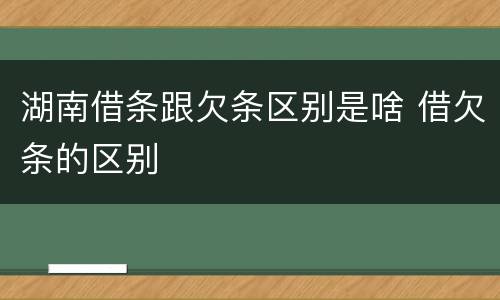 湖南借条跟欠条区别是啥 借欠条的区别