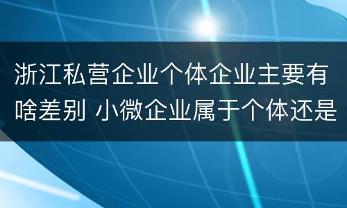 浙江私营企业个体企业主要有啥差别 小微企业属于个体还是私营