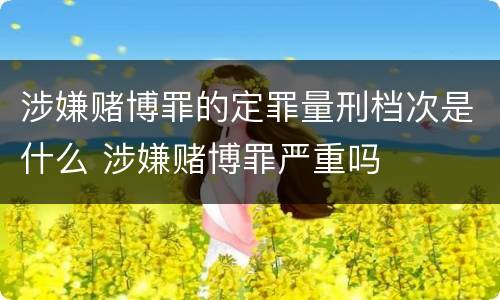 涉嫌赌博罪的定罪量刑档次是什么 涉嫌赌博罪严重吗