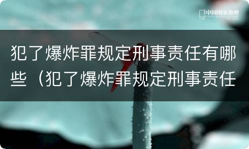 犯了爆炸罪规定刑事责任有哪些（犯了爆炸罪规定刑事责任有哪些情形）