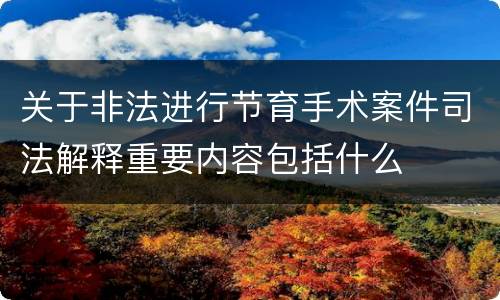 关于非法进行节育手术案件司法解释重要内容包括什么