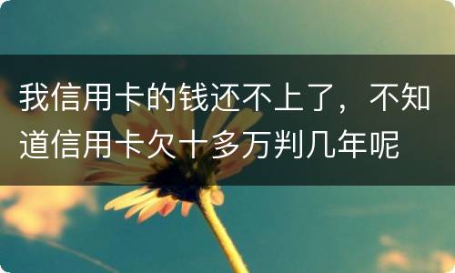 我信用卡的钱还不上了，不知道信用卡欠十多万判几年呢