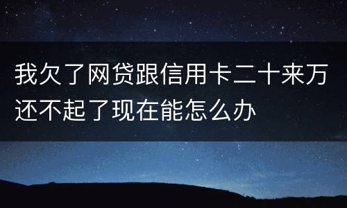 我欠了网贷跟信用卡二十来万还不起了现在能怎么办