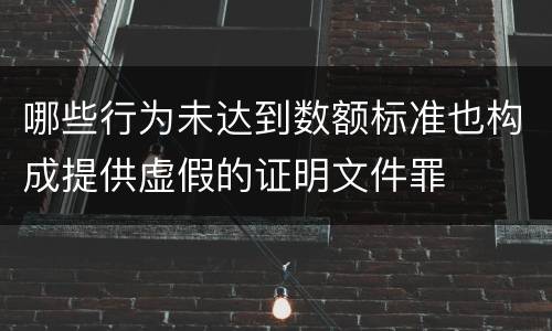哪些行为未达到数额标准也构成提供虚假的证明文件罪