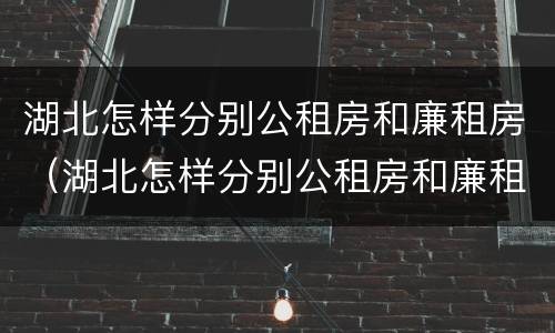 湖北怎样分别公租房和廉租房（湖北怎样分别公租房和廉租房呢）