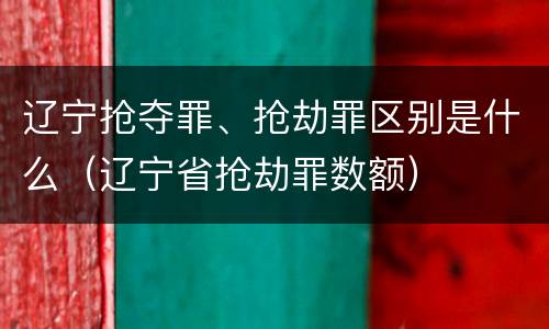 辽宁抢夺罪、抢劫罪区别是什么（辽宁省抢劫罪数额）