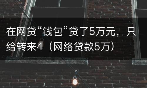 在网贷“钱包”贷了5万元，只给转来4（网络贷款5万）